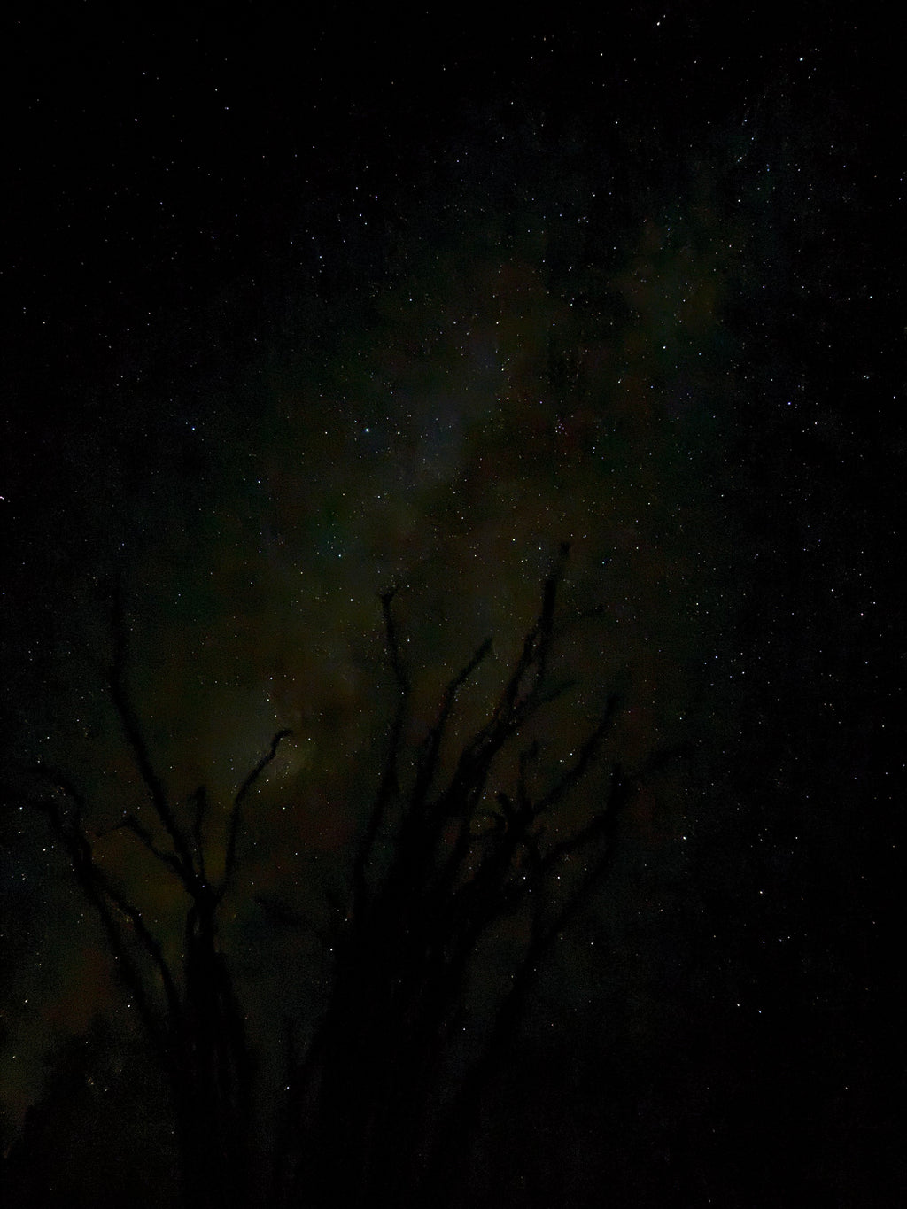 Dark Skies