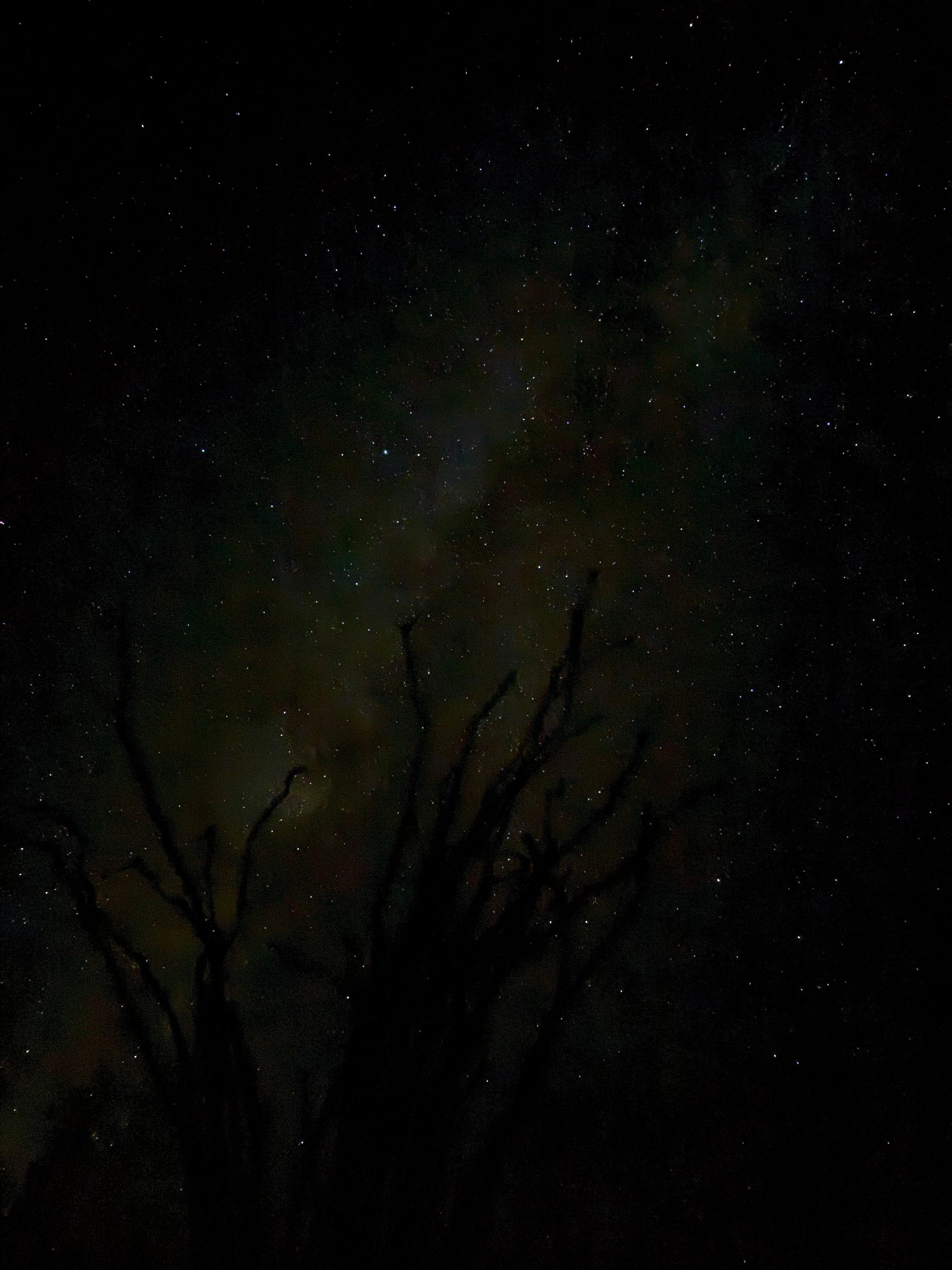 Dark Skies